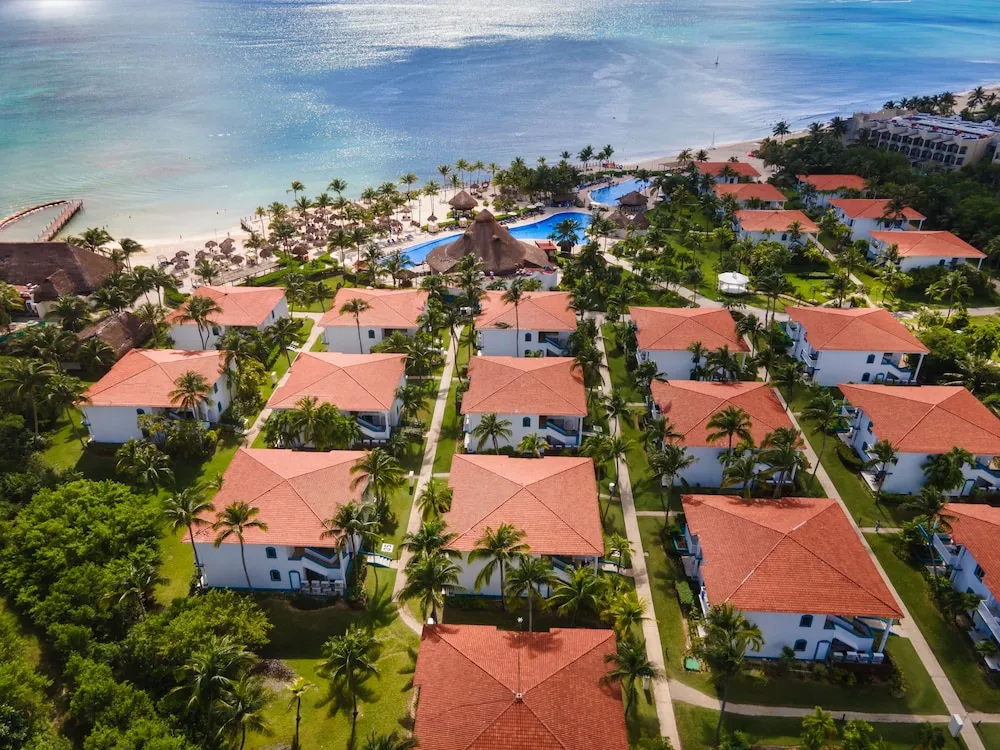 OcMaroy067