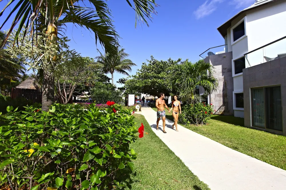 SandosC0018