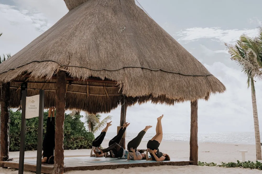 The ReefPY0026