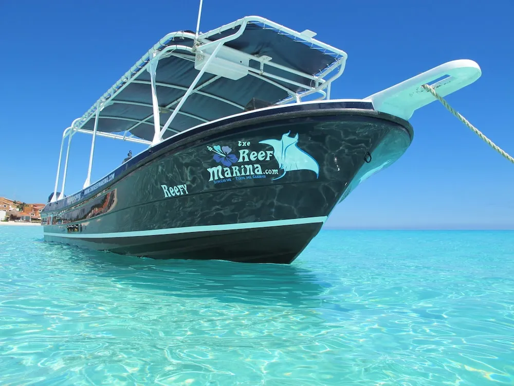 The ReefPY039